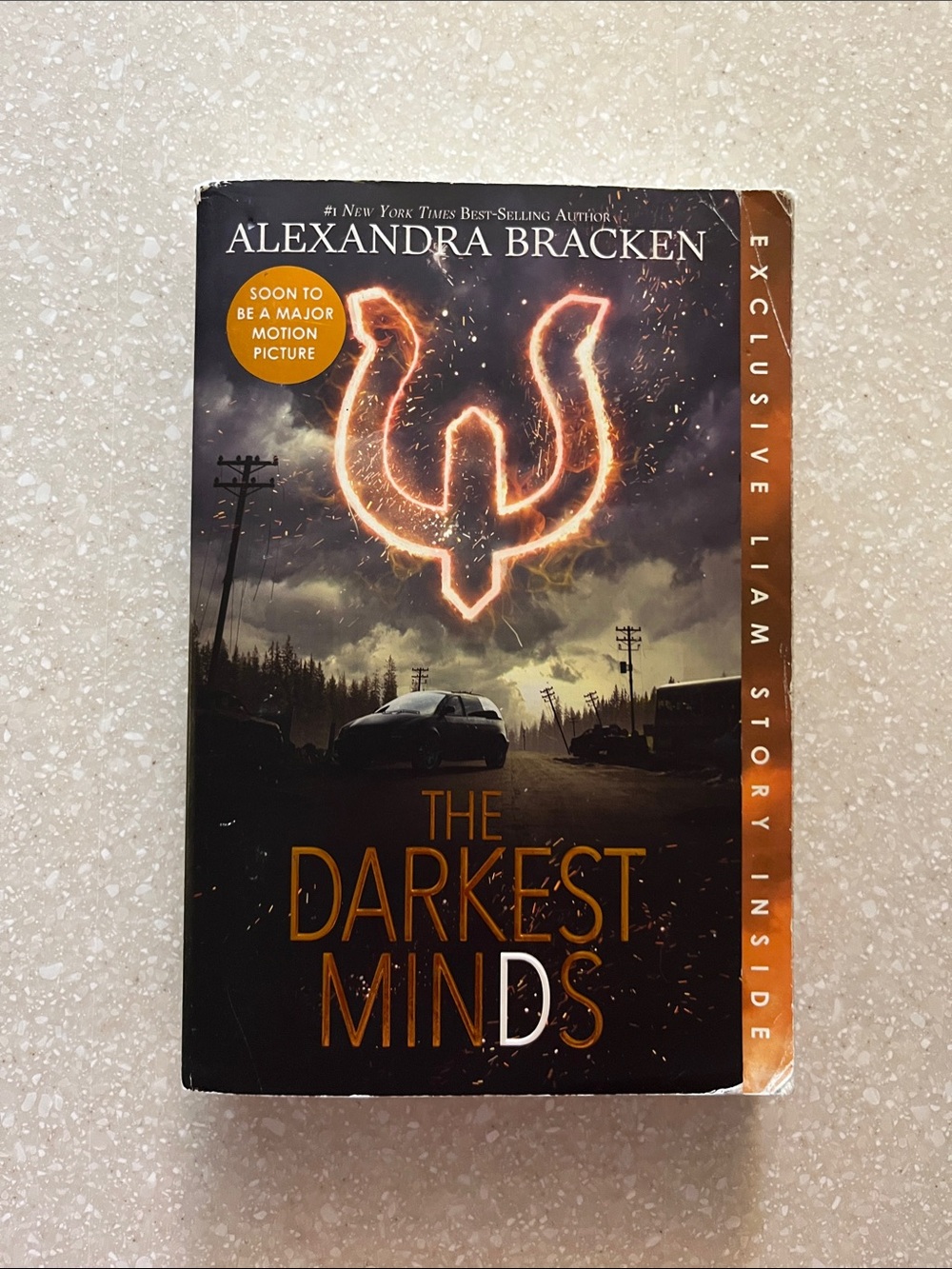 The Darkest Minds by Alexandra Bracken